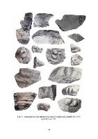 , Basarabi, La Vârtej<br /><a href='https://ran.cimec.ro/RANatasamente/i3/35E4FFCA5FF4404CB737D17804C2CE51.jpg' target=_blank>Priveşte aceeaşi imagine într-o fereastră nouă</a>. Autor: Dorel Bondoc. Titlu: Ceramică Dridu descoperită în perimetrul sitului de La Vârtej. Sursa: Dorel Bondoc, Siturile arheologice de pe raza localităților Calafat, Ciupercenii Vechi, Golenți și Basarabi, județul Dolj, 2025, p. 81, fig. 58c., Basarabi, La Vârtej<br /><a href='https://ran.cimec.ro/RANatasamente/i3/70B85C10ACEA481EBA297179BEBD03AF.jpg' target=_blank>Priveşte aceeaşi imagine într-o fereastră nouă</a>. Autor: Dorel Bondoc. Titlu: Ceramică medievală descoperită în perimetrul sitului La Vârtej. Sursa: Dorel Bondoc, Siturile arheologice de pe raza localităților Calafat, Ciupercenii Vechi, Golenți și Basarabi, județul Dolj, 2025, p. 81, fig. 58d., Basarabi, La Vârtej<br /><a href='https://ran.cimec.ro/RANatasamente/i3/701BDE8C3ABE492CB582F61994A000FE.jpg' target=_blank>Priveşte aceeaşi imagine într-o fereastră nouă</a>. Autor: Dorel Bondoc. Titlu: Ceramică preistorică descoperită în perimetrul sitului. Sursa: Dorel Bondoc, Siturile arheologice de pe raza localităților Calafat, Ciupercenii Vechi, Golenți și Basarabi, județul Dolj, 2025, p. 80. fig. 58a., Basarabi, La Vârtej<br /><a href='https://ran.cimec.ro/RANatasamente/i3/AFBB71318E8543EFB2EFF94AFF73656F.jpg' target=_blank>Priveşte aceeaşi imagine într-o fereastră nouă</a>. Autor: Dorel Bondoc. Titlu: Ceramică romană descoperită în perimetrul sitului. Sursa: Dorel Bondoc, Siturile arheologice de pe raza localităților Calafat, Ciupercenii Vechi, Golenți și Basarabi, județul Dolj, 2025, p. 80. fig. 58b, Basarabi, La Vârtej<br /><a href='https://ran.cimec.ro/RANatasamente/i3/EE41A6E56E58409EA3B0B27CF1F665AF.jpg' target=_blank>Priveşte aceeaşi imagine într-o fereastră nouă</a>. Autor: Marin Nica. Titlu: Ceramică aparținând culturii Starcevo-Criș. Sursa: Dorel Bondoc, Siturile..., 2025, apud. Marin Nica, O așezare de tip  Starčevo- Criş lîngă Basarabi (jud. Dolj), SCIVA, 4, 1971, fig 57