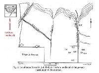 , Basarabi, Cetăţuia (La Cetate)<br /><a href='https://ran.cimec.ro/RANatasamente/i3/197E739FF3BB436A953038F91BC94EB1.jpg' target=_blank>Display the same picture in a new window</a>. Title: Monede din tezaurul medieval de la Cetățuia. Source: Dorel Bondoc, Siturile arheologice de pe raza localității Calafat, Ciupercenii Vechi, Golenți și Basarabi, județul Dolj, 2025, Basarabi, Cetăţuia (La Cetate)<br /><a href='https://ran.cimec.ro/RANatasamente/i3/B7A0BF6CB069498A9BECE4E07EC5AB4F.jpg' target=_blank>Display the same picture in a new window</a>. Title: Monede grecești din tezaurul monetar descoperit la Basarabi - Cetățuia. Source: Dorel Bondoc, Siturile arheologice de pe raza localității Calafat, Ciupercenii Vechi, Golenți și Basarabi, județul Dolj, 2025, Basarabi, Cetăţuia (La Cetate)<br /><a href='https://ran.cimec.ro/RANatasamente/i3/E4838B6DEF084CBD91B746098015BC88.jpg' target=_blank>Display the same picture in a new window</a>. Title: Tezaurul medieval de la Basarabi-Cetățuia. Source: Dorel Bondoc, Siturile arheologice de pe raza localității Calafat, Ciupercenii Vechi, Golenți și Basarabi, județul Dolj, 2025, Basarabi, Cetăţuia (La Cetate)<br /><a href='https://ran.cimec.ro/RANatasamente/i3/71B45891D0F848F89B5101926C86F132.jpg' target=_blank>Display the same picture in a new window</a>. Author: Dorel Bondoc. Title: Fotografie de teren cu valul și șanțul de apărare al așezării medievale de la Basarabi - Cetățuia. Source: Dorel Bondoc, Siturile arheologice de pe raza localității Calafat, Ciupercenii Vechi, Golenți și Basarabi, județul Dolj, 2025, Basarabi, Cetăţuia (La Cetate)<br /><a href='https://ran.cimec.ro/RANatasamente/i3/93783F8607BE41AB9E49517D9C50697D.jpg' target=_blank>Display the same picture in a new window</a>. Author: Dorel Bondoc. Title: Fotografie de teren cu valul și șanțul de apărare al așezării medievale de la Basarabi - Cetățuia. Source: Dorel Bondoc, Siturile arheologice de pe raza localității Calafat, Ciupercenii Vechi, Golenți și Basarabi, județul Dolj, 2025, Basarabi, Cetăţuia (La Cetate)<br /><a href='https://ran.cimec.ro/RANatasamente/i3/34C7AC9FC29948AC84111A0F27108ED6.jpg' target=_blank>Display the same picture in a new window</a>. Author: Elena Busuioc și Dumitru Vâlceanu. Title: Ceramică medievală descoperită în timpul săpăturilor din anii 1968-1969. Source: Dorel Bondoc, Siturile..., 2025, apud Elena Busuior, Dumitru Vâlceanu, Ceramica din aşezarea medievală de la Basarabi-Calafat (sec. al XIV-lea), SCIVA, XXVII, 4, 1976, p. 498, fig. 1., Basarabi, Cetăţuia (La Cetate)<br /><a href='https://ran.cimec.ro/RANatasamente/i3/DBDEBE6484B24913919FF102710A4017.jpg' target=_blank>Display the same picture in a new window</a>. Author: Elena Busuioc și Dumitru Vâlceanu. Title: Ceramică medievală descoperită în timpul săpăturilor din anii 1968-1969. Source: Dorel Bondoc, Siturile..., 2025, apud Elena Busuior, Dumitru Vâlceanu, Ceramica din aşezarea medievală de la Basarabi-Calafat (sec. al XIV-lea), SCIVA, XXVII, 4, 1976, p. 499, fig. 2., Basarabi, Cetăţuia (La Cetate)<br /><a href='https://ran.cimec.ro/RANatasamente/i3/2085EBC2EAC84F40A9D635E6CC50774F.jpg' target=_blank>Display the same picture in a new window</a>. Author: Elena Busuioc și Dumitru Vâlceanu. Title: Ceramică medievală descoperită în timpul săpăturilor din anii 1968-1969. Source: Dorel Bondoc, Siturile..., 2025, apud Elena Busuior, Dumitru Vâlceanu, Ceramica din aşezarea medievală de la Basarabi-Calafat (sec. al XIV-lea), SCIVA, XXVII, 4, 1976, p. 500, fig. 3., Basarabi, Cetăţuia (La Cetate)<br /><a href='https://ran.cimec.ro/RANatasamente/i3/CF818E095CAC4A07B91C04D66AE4673E.jpg' target=_blank>Display the same picture in a new window</a>. Author: Elena Busuioc și Dumitru Vâlceanu. Title: Ceramică medievală descoperită în timpul săpăturilor din anii 1968-1969. Source: Dorel Bondoc, Siturile..., 2025, apud Elena Busuior, Dumitru Vâlceanu, Ceramica din aşezarea medievală de la Basarabi-Calafat (sec. al XIV-lea), SCIVA, XXVII, 4, 1976, p. 501, fig. 4., Basarabi, Cetăţuia (La Cetate)<br /><a href='https://ran.cimec.ro/RANatasamente/i3/5B6A2FB62CB04EE08486B544B23C68D8.jpg' target=_blank>Display the same picture in a new window</a>. Author: Elena Busuioc și Dumitru Vâlceanu. Title: Ceramică medievală descoperită în timpul săpăturilor din anii 1968-1969. Source: Dorel Bondoc, Siturile..., 2025, apud Elena Busuior, Dumitru Vâlceanu, Ceramica din aşezarea medievală de la Basarabi-Calafat (sec. al XIV-lea), SCIVA, XXVII, 4, 1976, p. 502, fig. 5., Basarabi, Cetăţuia (La Cetate)<br /><a href='https://ran.cimec.ro/RANatasamente/i3/6B486AF9F1284B378A9B27F75FD54465.jpg' target=_blank>Display the same picture in a new window</a>. Author: Elena Busuioc și Dumitru Vâlceanu. Title: Ceramică medievală descoperită în timpul săpăturilor din anii 1968-1969. Source: Dorel Bondoc, Siturile..., 2025, apud Elena Busuior, Dumitru Vâlceanu, Ceramica din aşezarea medievală de la Basarabi-Calafat (sec. al XIV-lea), SCIVA, XXVII, 4, 1976, p. 503, fig. 6., Basarabi, Cetăţuia (La Cetate)<br /><a href='https://ran.cimec.ro/RANatasamente/i3/8ED790851C8D4FCAA18553B2B01C3A4C.jpg' target=_blank>Display the same picture in a new window</a>. Author: Elena Busuioc și Dumitru Vâlceanu. Title: Ceramică medievală descoperită în timpul săpăturilor din anii 1968-1969. Source: Dorel Bondoc, Siturile..., 2025, apud Elena Busuior, Dumitru Vâlceanu, Ceramica din aşezarea medievală de la Basarabi-Calafat (sec. al XIV-lea), SCIVA, XXVII, 4, 1976, p. 505, fig. 7., Basarabi, Cetăţuia (La Cetate)<br /><a href='https://ran.cimec.ro/RANatasamente/i3/1A63A4A236804A0DA300CE364B95EEFA.jpg' target=_blank>Display the same picture in a new window</a>. Author: Elena Busuioc și Dumitru Vâlceanu. Title: Ceramică medievală descoperită în timpul săpăturilor din anii 1968-1969. Source: Dorel Bondoc, Siturile..., 2025, apud Elena Busuior, Dumitru Vâlceanu, Ceramica din aşezarea medievală de la Basarabi-Calafat (sec. al XIV-lea), SCIVA, XXVII, 4, 1976, p. 511, fig. 8., Basarabi, Cetăţuia (La Cetate)<br /><a href='https://ran.cimec.ro/RANatasamente/i3/8081933E21B4467FB444F6D5148756D6.jpg' target=_blank>Display the same picture in a new window</a>. Author: Elena Busuioc și Dumitru Vâlceanu. Title: Ceramică medievală descoperită în timpul săpăturilor din anii 1968-1969. Source: Dorel Bondoc, Siturile..., 2025, apud Elena Busuior, Dumitru Vâlceanu, Ceramica din aşezarea medievală de la Basarabi-Calafat (sec. al XIV-lea), SCIVA, XXVII, 4, 1976, p. 513, fig. 10., Basarabi, Cetăţuia (La Cetate)<br /><a href='https://ran.cimec.ro/RANatasamente/i3/0A5A239AAD5F4B449404B81816D15183.jpg' target=_blank>Display the same picture in a new window</a>. Author: Petre Roman. Title: Ceramică de epoca bronzului descoperită în situl de la Basarabi - Cetățuia. Source: Dorel Bondoc, Siturile....,2025, apud Petre Roman, Cultura Coțofeni, București, 1976, Basarabi, Cetăţuia (La Cetate)<br /><a href='https://ran.cimec.ro/RANatasamente/i3/F7668019658F43609A2C7788FA03DFD8.jpg' target=_blank>Display the same picture in a new window</a>. Author: Petre Roman. Title: Ceramică de epoca bronzului descoperită în situl de la Basarabi - Cetățuia. Source: Dorel Bondoc, Siturile....,2025, apud Petre Roman, Cultura Coțofeni, București, 1976, Basarabi, Cetăţuia (La Cetate)<br /><a href='https://ran.cimec.ro/RANatasamente/i3/1FD3494FDC5D489C8B87C2A605386CCF.jpg' target=_blank>Display the same picture in a new window</a>. Author: Petre Roman. Title: Ceramică de epoca bronzului descoperită în situl de la Basarabi - Cetățuia. Source: Dorel Bondoc, Siturile....,2025, apud Petre Roman, Cultura Coțofeni, București, 1976, Basarabi, Cetăţuia (La Cetate)<br /><a href='https://ran.cimec.ro/RANatasamente/i3/13DD8378FE1F405C992CFAB7EC5A4C50.jpg' target=_blank>Display the same picture in a new window</a>. Author: Petre Roman. Title: Ceramică de epoca bronzului descoperită în situl de la Basarabi - Cetățuia. Source: Dorel Bondoc, Siturile....,2025, apud Petre Roman, Cultura Coțofeni, București, 1976, Basarabi, Cetăţuia (La Cetate)<br /><a href='https://ran.cimec.ro/RANatasamente/i3/49ECBBAC26994F14860281F97D042BAA.jpg' target=_blank>Display the same picture in a new window</a>. Author: Petre Roman. Title: Ceramică de epoca bronzului descoperită în situl de la Basarabi - Cetățuia. Source: Dorel Bondoc, Siturile....,2025, apud Petre Roman, Cultura Coțofeni, București, 1976, Basarabi, Cetăţuia (La Cetate)<br /><a href='https://ran.cimec.ro/RANatasamente/i3/EA804D69505040F58855133B2F56A4AA.jpg' target=_blank>Display the same picture in a new window</a>. Author: Petre Roman. Title: Planul și profilele complexelor arheologice din epoca bronzului. Source: Dorel Bondoc, Siturile....,2025, apud Petre Roman, Cultura Coțofeni, București, 1976, p. 110, planșa 5., Basarabi, Cetăţuia (La Cetate)<br /><a href='https://ran.cimec.ro/RANatasamente/i3/6BAADC2E627B4550B184D482D88A503E.jpg' target=_blank>Display the same picture in a new window</a>. Author: Petre Roman. Title: Planul și profilele complexelor arheologice din epoca bronzului. Source: Dorel Bondoc, Siturile....,2025, apud Petre Roman, Cultura Coțofeni, București, 1976, p. 110, planșa 6., Basarabi, Cetăţuia (La Cetate)<br /><a href='https://ran.cimec.ro/RANatasamente/i3/1D25DE1896A14EACB948357A9F2B44E8.jpg' target=_blank>Display the same picture in a new window</a>. Author: Vladimir Dumitrescu. Title: Harta siturilor arheologice de la Basarabi. Source: Dorel Bondoc, Siturile....,2025, apud Vladimir Dumitrescu, La nécropole tumulaire du premiere âge du fer de Basarabi (Dép. de Dolj, Olténie), Dacia, 1968, p. 179, fig. 3