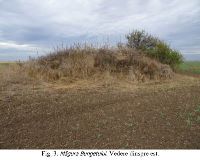 , Cetate, Măgura Bungetului<br /><a href='https://ran.cimec.ro/RANatasamente/i3/0D96B657A6A94E79A97DB31D20C5C70D.jpg' target=_blank>Priveşte aceeaşi imagine într-o fereastră nouă</a>. Autor: Dorel Bondoc. Titlu: Fotografie de teren. Sursa: Dorel Bondoc, Studiu arheologic pentru teritoriul administrativ al  comunei Cetate pentru Planul Urbanistic General  al U.A.T. Cetate, Județul Dolj, 2025