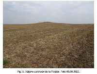 , Moţăţei, Măgura Lemnelor<br /><a href='https://ran.cimec.ro/RANatasamente/i3/A7A703DB56AC47959E85C7779C6BFFA8.jpg' target=_blank>Priveşte aceeaşi imagine într-o fereastră nouă</a>. Autor: Dorel Bondoc. Titlu: Fotografie de teren. Sursa: Dorel Bondoc, Fișă de sit arheologic: Măgura Lemnelor de la Moțăței, 2023