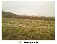 , Pârâu Boia, Scutarul Mic<br /><a href='https://ran.cimec.ro/RANatasamente/i3/D72F4465EE3040F2B37AE15D2AC5AE66.jpg' target=_blank>Priveşte aceeaşi imagine într-o fereastră nouă</a>. Autor: Gheorghe Calotoiu, Adina Gabriela Cotorogea. Titlu: Fotografie de teren. Sursa: Gheorghe Calotoiu, Adina Gabriela Cotorogea, Cercetări arheologice în aşezarea din perioada bronzului târziu de la Pârâul Boia, comuna Jupăneşti, jud. Gorj, Litua, XIII, 2011, fig 1