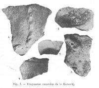 , Bucovăţ, La Jidovii<br /><a href='https://ran.cimec.ro/RANatasamente/i3/4CDF9DEF3E5B4F588858838FE01CAB38.jpg' target=_blank>Priveşte aceeaşi imagine într-o fereastră nouă</a>. Autor: Gloria Macovei. Titlu: Fragmente ceramice descoperite în urma săpăturilor arheologic din anul 1956. Sursa: Gloria Macovei, Cercetările de la Bucovăţ (r. Şi reg. Craiova), MCA, 1959, p. 353, fig. 2