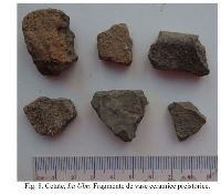 , Cetate, La Ulm (Dealul Ulmului)<br /><a href='https://ran.cimec.ro/RANatasamente/i3/637C34D66E034C84ADC1ED95294ACB31.jpg' target=_blank>Priveşte aceeaşi imagine într-o fereastră nouă</a>. Autor: Dorel Bondoc. Titlu: Fotografie de teren. Sursa: Dorel Bondoc, Studiu arheologic pentru teritoriul administrativ al  comunei Cetate pentru Planul Urbanistic General  al U.A.T. Cetate, Județul Dolj, 2025, Cetate, La Ulm (Dealul Ulmului)<br /><a href='https://ran.cimec.ro/RANatasamente/i3/D9B2B1BCC19D4A7A9C582A76C92D52F9.jpg' target=_blank>Priveşte aceeaşi imagine într-o fereastră nouă</a>. Autor: Dorel Bondoc. Titlu: Fotografie de teren. Sursa: Dorel Bondoc, Studiu arheologic pentru teritoriul administrativ al  comunei Cetate pentru Planul Urbanistic General  al U.A.T. Cetate, Județul Dolj, 2025, Cetate, La Ulm (Dealul Ulmului)<br /><a href='https://ran.cimec.ro/RANatasamente/i3/CB539A56B73449A1B7A28351F167B510.jpg' target=_blank>Priveşte aceeaşi imagine într-o fereastră nouă</a>. Autor: Dorel Bondoc. Titlu: Fotografie de teren. Sursa: Dorel Bondoc, Studiu arheologic pentru teritoriul administrativ al  comunei Cetate pentru Planul Urbanistic General  al U.A.T. Cetate, Județul Dolj, 2025, Cetate, La Ulm (Dealul Ulmului)<br /><a href='https://ran.cimec.ro/RANatasamente/i3/CF1C43CCBB6A4FCF8C5530D42AA98CD3.jpg' target=_blank>Priveşte aceeaşi imagine într-o fereastră nouă</a>. Autor: Dorel Bondoc. Titlu: Localizarea sitului. Sursa: Dorel Bondoc, Studiu arheologic pentru teritoriul administrativ al  comunei Cetate pentru Planul Urbanistic General  al U.A.T. Cetate, Județul Dolj, 2025, Cetate, La Ulm (Dealul Ulmului)<br /><a href='https://ran.cimec.ro/RANatasamente/i3/02A5961B93EB442D9B3FC584C5C952D6.jpg' target=_blank>Priveşte aceeaşi imagine într-o fereastră nouă</a>. Autor: Dorel Bondoc. Titlu: Materiale arheologice descoperite. Sursa: Dorel Bondoc, Studiu arheologic pentru teritoriul administrativ al  comunei Cetate pentru Planul Urbanistic General  al U.A.T. Cetate, Județul Dolj, 2025, Cetate, La Ulm (Dealul Ulmului)<br /><a href='https://ran.cimec.ro/RANatasamente/i3/2192237F1AB64157B4CED3D1FC624815.jpg' target=_blank>Priveşte aceeaşi imagine într-o fereastră nouă</a>. Autor: Dorel Bondoc. Titlu: Materiale arheologice descoperite. Sursa: Dorel Bondoc, Studiu arheologic pentru teritoriul administrativ al  comunei Cetate pentru Planul Urbanistic General  al U.A.T. Cetate, Județul Dolj, 2025