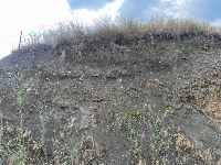 , Copăceni, Fânaţe / Sub Coastă (Szénafű / Domb alatt)<br /><a href='https://ran.cimec.ro/RANatasamente/i3/F8FDEE77598B408789EA9C9C042FC2EC.jpg' target=_blank>Display the same picture in a new window</a>. Author: Dr. Chiorean Paul-Florin. Title: Așezarea Coțofeni de la Fânațe / Sub Coastă, Copăceni, Fânaţe / Sub Coastă (Szénafű / Domb alatt)<br /><a href='https://ran.cimec.ro/RANatasamente/i3/B7E0DF37480040B8AA459C8959BC5E70.jpg' target=_blank>Display the same picture in a new window</a>. Author: Dr. Chiorean Paul-Florin. Title: Așezarea Coțofeni de la Fânațe / Sub Coastă, Copăceni, Fânaţe / Sub Coastă (Szénafű / Domb alatt)<br /><a href='https://ran.cimec.ro/RANatasamente/i3/ED2B33A3F16C468CA71F63DC6822D793.jpg' target=_blank>Display the same picture in a new window</a>. Author: Dr. Chiorean Paul-Florin. Title: Așezarea Coțofeni de la Fânațe / Sub Coastă