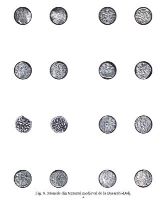 , Basarabi, Cetăţuia (La Cetate)<br /><a href='https://ran.cimec.ro/RANatasamente/i3/197E739FF3BB436A953038F91BC94EB1.jpg' target=_blank>Display the same picture in a new window</a>. Title: Monede din tezaurul medieval de la Cetățuia. Source: Dorel Bondoc, Siturile arheologice de pe raza localității Calafat, Ciupercenii Vechi, Golenți și Basarabi, județul Dolj, 2025