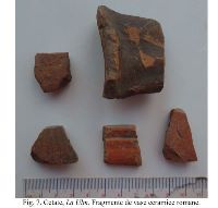 , Cetate, La Ulm (Dealul Ulmului)<br /><a href='https://ran.cimec.ro/RANatasamente/i3/637C34D66E034C84ADC1ED95294ACB31.jpg' target=_blank>Priveşte aceeaşi imagine într-o fereastră nouă</a>. Autor: Dorel Bondoc. Titlu: Fotografie de teren. Sursa: Dorel Bondoc, Studiu arheologic pentru teritoriul administrativ al  comunei Cetate pentru Planul Urbanistic General  al U.A.T. Cetate, Județul Dolj, 2025, Cetate, La Ulm (Dealul Ulmului)<br /><a href='https://ran.cimec.ro/RANatasamente/i3/D9B2B1BCC19D4A7A9C582A76C92D52F9.jpg' target=_blank>Priveşte aceeaşi imagine într-o fereastră nouă</a>. Autor: Dorel Bondoc. Titlu: Fotografie de teren. Sursa: Dorel Bondoc, Studiu arheologic pentru teritoriul administrativ al  comunei Cetate pentru Planul Urbanistic General  al U.A.T. Cetate, Județul Dolj, 2025, Cetate, La Ulm (Dealul Ulmului)<br /><a href='https://ran.cimec.ro/RANatasamente/i3/CB539A56B73449A1B7A28351F167B510.jpg' target=_blank>Priveşte aceeaşi imagine într-o fereastră nouă</a>. Autor: Dorel Bondoc. Titlu: Fotografie de teren. Sursa: Dorel Bondoc, Studiu arheologic pentru teritoriul administrativ al  comunei Cetate pentru Planul Urbanistic General  al U.A.T. Cetate, Județul Dolj, 2025, Cetate, La Ulm (Dealul Ulmului)<br /><a href='https://ran.cimec.ro/RANatasamente/i3/CF1C43CCBB6A4FCF8C5530D42AA98CD3.jpg' target=_blank>Priveşte aceeaşi imagine într-o fereastră nouă</a>. Autor: Dorel Bondoc. Titlu: Localizarea sitului. Sursa: Dorel Bondoc, Studiu arheologic pentru teritoriul administrativ al  comunei Cetate pentru Planul Urbanistic General  al U.A.T. Cetate, Județul Dolj, 2025, Cetate, La Ulm (Dealul Ulmului)<br /><a href='https://ran.cimec.ro/RANatasamente/i3/02A5961B93EB442D9B3FC584C5C952D6.jpg' target=_blank>Priveşte aceeaşi imagine într-o fereastră nouă</a>. Autor: Dorel Bondoc. Titlu: Materiale arheologice descoperite. Sursa: Dorel Bondoc, Studiu arheologic pentru teritoriul administrativ al  comunei Cetate pentru Planul Urbanistic General  al U.A.T. Cetate, Județul Dolj, 2025, Cetate, La Ulm (Dealul Ulmului)<br /><a href='https://ran.cimec.ro/RANatasamente/i3/2192237F1AB64157B4CED3D1FC624815.jpg' target=_blank>Priveşte aceeaşi imagine într-o fereastră nouă</a>. Autor: Dorel Bondoc. Titlu: Materiale arheologice descoperite. Sursa: Dorel Bondoc, Studiu arheologic pentru teritoriul administrativ al  comunei Cetate pentru Planul Urbanistic General  al U.A.T. Cetate, Județul Dolj, 2025, Cetate, La Ulm (Dealul Ulmului)<br /><a href='https://ran.cimec.ro/RANatasamente/i3/96E2240DF3774CD1BCE49ECAE55520DD.jpg' target=_blank>Priveşte aceeaşi imagine într-o fereastră nouă</a>. Autor: Dorel Bondoc. Titlu: Materiale arheologice descoperite. Sursa: Dorel Bondoc, Studiu arheologic pentru teritoriul administrativ al  comunei Cetate pentru Planul Urbanistic General  al U.A.T. Cetate, Județul Dolj, 2025