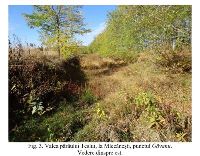 , Mlecăneşti, Găvanu<br /><a href='https://ran.cimec.ro/RANatasamente/i3/D4D860562A364BF0AC1EEA1AA40B6040.jpg' target=_blank>Priveşte aceeaşi imagine într-o fereastră nouă</a>. Autor: Dorel Bondoc. Titlu: Fotografie de teren. Sursa: Dorel Bondoc, Fișă de sit arheologic: Situl arheologic de la Mlecănești, comuna Mischii, punct Găvanu, 2023