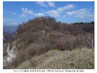 , Polovragi, Crucea lui Ursache; Oborul Jidovilor<br /><a href='https://ran.cimec.ro/RANatasamente/i3/E0C2E575501341D297CAF7F4F1DAED72.jpg' target=_blank>Display the same picture in a new window</a>. Author: Dorel Bondoc. Title: Cetăţile dacice de la Polovragi. Source: Dorel Bondoc, Studiu arheologic, 2024, figura 6, Polovragi, Crucea lui Ursache; Oborul Jidovilor<br /><a href='https://ran.cimec.ro/RANatasamente/i3/89146B2747394535846806C7A8121F25.jpg' target=_blank>Display the same picture in a new window</a>. Author: Dorel Bondoc. Title: Crucea lui Ursache. Source: Dorel Bondoc, Studiu arheologic, 2024, figura 4, Polovragi, Crucea lui Ursache; Oborul Jidovilor<br /><a href='https://ran.cimec.ro/RANatasamente/i3/5ECFB3623DB04518A12565811C54EF01.jpg' target=_blank>Display the same picture in a new window</a>. Author: Dorel Bondoc. Title: Fotografie de teren cu drumul de acces și înălțimea pe care era situată fortificația principală. Source: Dorel Bondoc, Studiu arheologic, 2024, figura 11