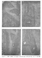 , Udeni, Terasa Lutăriei (SRB 008)<br /><a href='https://ran.cimec.ro/RANatasamente/i3/65D0887FE42848B68A27F4D32380033A.jpg' target=_blank>Display the same picture in a new window</a>. Author: Gheorghe Bichir. Title: Artefacte descoperite în timpul cercetărilor din 1966. Source: Gheorghe Bichir, Cercetări arheologice la Udeni, jud. Teleorman, Muzeul Național, VII, 1983, fig. 10, Udeni, Terasa Lutăriei (SRB 008)<br /><a href='https://ran.cimec.ro/RANatasamente/i3/1A3CB159EAC642AE88AB417A94A4181E.jpg' target=_blank>Display the same picture in a new window</a>. Author: Gheorghe Bichir. Title: Artefacte descoperite în timpul cercetărilor din 1966. Source: Gheorghe Bichir, Cercetări arheologice la Udeni, jud. Teleorman, Muzeul Național, VII, 1983, fig. 12, Udeni, Terasa Lutăriei (SRB 008)<br /><a href='https://ran.cimec.ro/RANatasamente/i3/D5C423AEB58441C3A9E3B4419A7F0C69.jpg' target=_blank>Display the same picture in a new window</a>. Author: Gheorghe Bichir. Title: Artefacte descoperite în timpul cercetărilor din 1966. Source: Gheorghe Bichir, Cercetări arheologice la Udeni, jud. Teleorman, Muzeul Național, VII, 1983, fig. 13, Udeni, Terasa Lutăriei (SRB 008)<br /><a href='https://ran.cimec.ro/RANatasamente/i3/FF29414C138E44A48DDA5C375B421192.jpg' target=_blank>Display the same picture in a new window</a>. Author: Gheorghe Bichir. Title: Artefacte descoperite în timpul cercetărilor din 1966. Source: Gheorghe Bichir, Cercetări arheologice la Udeni, jud. Teleorman, Muzeul Național, VII, 1983, fig. 17, Udeni, Terasa Lutăriei (SRB 008)<br /><a href='https://ran.cimec.ro/RANatasamente/i3/5E1DB8C260B841D680B52D2EB192C7B1.jpg' target=_blank>Display the same picture in a new window</a>. Author: Gheorghe Bichir. Title: Aspecte din timpul săpăturilor arheologice din 1966. Source: Gheorghe Bichir, Cercetări arheologice la Udeni, jud. Teleorman, Muzeul Național, VII, 1983, fig. 15, Udeni, Terasa Lutăriei (SRB 008)<br /><a href='https://ran.cimec.ro/RANatasamente/i3/417F5D3B4D3B4C57BD77C62075ED7B4F.jpg' target=_blank>Display the same picture in a new window</a>. Author: Gheorghe Bichir. Title: Aspecte din timpul săpăturilor arheologice din 1966. Source: Gheorghe Bichir, Cercetări arheologice la Udeni, jud. Teleorman, Muzeul Național, VII, 1983, fig. 16