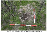 , Valea Perilor, Chivadarul<br /><a href='https://ran.cimec.ro/RANatasamente/i3/68A769112B264780A5F021757C681D7C.jpg' target=_blank>Priveşte aceeaşi imagine într-o fereastră nouă</a>. Autor: Victor Bunoiu. Titlu: Fotografie de teren. Sursa: Victor Bunoiu, Fișă de sit arheologic: Castrul și așezarea romană de la Valea Perilor - Chivadarul, Timișoara, 2026