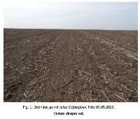 , Dobridor, Valea Coţobâţului<br /><a href='https://ran.cimec.ro/RANatasamente/i3/0FC8D492871C43A68310307620F01CAD.jpg' target=_blank>Priveşte aceeaşi imagine într-o fereastră nouă</a>. Autor: Dorel Bondoc. Titlu: Fotografie de teren. Sursa: Dorel Bondoc, Fișă de sit arheologic: Situl arheologic de la Dobridor, Valea Coțobâțului, 2023