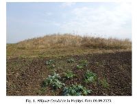 , Moţăţei, Măgura Cerului (Măgura Cearângului)<br /><a href='https://ran.cimec.ro/RANatasamente/i3/B49BBB93A95D41F89BE491FD56EF998B.jpg' target=_blank>Priveşte aceeaşi imagine într-o fereastră nouă</a>. Autor: Dorel Bondoc. Titlu: Fotografie de teren. Sursa: Dorel Bondoc, Fișă de sit arheologic: Măgura Cerului (Măgura Cearângului), de la Moțăței, 2023
