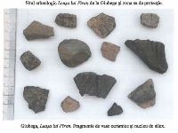 , Giubega, Leaşa lui Firan<br /><a href='https://ran.cimec.ro/RANatasamente/i3/9445157FA4D84C8D803BE940CC2A6796.jpg' target=_blank>Priveşte aceeaşi imagine într-o fereastră nouă</a>. Autor: Dorel Bondoc. Titlu: Materiale arheologice. Sursa: Dorel Bondoc, Fișă de sit arheologic: Situl arheologic de la Giubega Leașa lui Firan. 2020