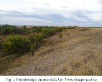 , Cetate, La Ulm (Dealul Ulmului)<br /><a href='https://ran.cimec.ro/RANatasamente/i3/637C34D66E034C84ADC1ED95294ACB31.jpg' target=_blank>Priveşte aceeaşi imagine într-o fereastră nouă</a>. Autor: Dorel Bondoc. Titlu: Fotografie de teren. Sursa: Dorel Bondoc, Studiu arheologic pentru teritoriul administrativ al  comunei Cetate pentru Planul Urbanistic General  al U.A.T. Cetate, Județul Dolj, 2025, Cetate, La Ulm (Dealul Ulmului)<br /><a href='https://ran.cimec.ro/RANatasamente/i3/D9B2B1BCC19D4A7A9C582A76C92D52F9.jpg' target=_blank>Priveşte aceeaşi imagine într-o fereastră nouă</a>. Autor: Dorel Bondoc. Titlu: Fotografie de teren. Sursa: Dorel Bondoc, Studiu arheologic pentru teritoriul administrativ al  comunei Cetate pentru Planul Urbanistic General  al U.A.T. Cetate, Județul Dolj, 2025