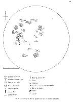 , Basarabi, Hunia Vacilor; Hunia Lungă, Hunia Vacilor (Hunia Lungă, română)<br /><a href='https://ran.cimec.ro/RANatasamente/i3/6E29FA4EF5E24B9D9516D16CEDCFC6A8.jpg' target=_blank>Priveşte aceeaşi imagine într-o fereastră nouă</a>. Autor: Dorel Bondoc. Titlu: Arme, brățări și accesori vestimentare din necropola tumulară de la Basarabi, Basarabi, Hunia Vacilor; Hunia Lungă, Hunia Vacilor (Hunia Lungă, română)<br /><a href='https://ran.cimec.ro/RANatasamente/i3/7251DBDE40B241DD9DB02BC9ACA9DC32.jpg' target=_blank>Priveşte aceeaşi imagine într-o fereastră nouă</a>. Autor: Dorel Bondoc. Titlu: Calotă craniană descoperită în perimetrul necropolei tumulare. Sursa: Dorel Bondoc, Siturile arheologice de pe raza localității Calafat, Ciupercenii Vechi, Golenți și Basarabi, județul Dolj, 2025, p. 42, fig. 25, Basarabi, Hunia Vacilor; Hunia Lungă, Hunia Vacilor (Hunia Lungă, română)<br /><a href='https://ran.cimec.ro/RANatasamente/i3/0012D9039A3548ECA6F0B6FAC102D39B.jpg' target=_blank>Priveşte aceeaşi imagine într-o fereastră nouă</a>. Autor: Dorel Bondoc. Titlu: Ceramică preistorică descoperită în zona necropolei tumulare. Sursa: Dorel Bondoc, Siturile arheologice de pe raza localității Calafat, Ciupercenii Vechi, Golenți și Basarabi, județul Dolj, 2025, p. 42, fig. 25, Basarabi, Hunia Vacilor; Hunia Lungă, Hunia Vacilor (Hunia Lungă, română)<br /><a href='https://ran.cimec.ro/RANatasamente/i3/15CE45E1F1DE42EBA553C57D3018A679.jpg' target=_blank>Priveşte aceeaşi imagine într-o fereastră nouă</a>. Autor: Dorel Bondoc. Titlu: Ceramică Verbiciora și Basarabi, ceramică romană și fier de plug roman descoperite la Hunia Catârului. Sursa: Dorel Bondoc, Noutăți arheologice din Oltenia, Drobeta, 1999, Basarabi, Hunia Vacilor; Hunia Lungă, Hunia Vacilor (Hunia Lungă, română)<br /><a href='https://ran.cimec.ro/RANatasamente/i3/CC423B9F73E947DA9D7FA26267A09482.jpg' target=_blank>Priveşte aceeaşi imagine într-o fereastră nouă</a>. Autor: Vladimir Dumitrescu. Titlu: Brățări de bronz descoperite  în necropola hallstattiană de la Basarabi. Sursa: Dorel Bondoc, Siturile arheologice de pe raza localităților Calafat, Ciupercenii Vechi, Golenți și Basarabi, județul Dolj, 2025, apud Vladimir Dumitrescu, La nécropole tumulaire du premiere âge du fer de Basarabi (Dép. de Dolj, Olténie), SCIVA, 1968, p. 1, Basarabi, Hunia Vacilor; Hunia Lungă, Hunia Vacilor (Hunia Lungă, română)<br /><a href='https://ran.cimec.ro/RANatasamente/i3/E46063D1A51842F88366CB28DCE42845.jpg' target=_blank>Priveşte aceeaşi imagine într-o fereastră nouă</a>. Autor: Vladimir Dumitrescu. Titlu: Ceramică descoperită în necropola hallstattiană de la Basarabi. Sursa: Dorel Bondoc, Siturile arheologice de pe raza localităților Calafat, Ciupercenii Vechi, Golenți și Basarabi, județul Dolj, 2025, apud Vladimir Dumitrescu, La nécropole tumulaire du premiere âge du fer de Basarabi (Dép. de Dolj, Olténie), SCIVA, 1968, p. 1, Basarabi, Hunia Vacilor; Hunia Lungă, Hunia Vacilor (Hunia Lungă, română)<br /><a href='https://ran.cimec.ro/RANatasamente/i3/C2193A923EC044318F1150BDE7F56685.jpg' target=_blank>Priveşte aceeaşi imagine într-o fereastră nouă</a>. Autor: Vladimir Dumitrescu. Titlu: Ceramică descoperită în necropola hallstattiană de la Basarabi. Sursa: Dorel Bondoc, Siturile arheologice de pe raza localităților Calafat, Ciupercenii Vechi, Golenți și Basarabi, județul Dolj, 2025, apud Vladimir Dumitrescu, La nécropole tumulaire du premiere âge du fer de Basarabi (Dép. de Dolj, Olténie), SCIVA, 1968, p. 1, Basarabi, Hunia Vacilor; Hunia Lungă, Hunia Vacilor (Hunia Lungă, română)<br /><a href='https://ran.cimec.ro/RANatasamente/i3/CD154E6A9227452BAEC60DA388051EE8.jpg' target=_blank>Priveşte aceeaşi imagine într-o fereastră nouă</a>. Autor: Vladimir Dumitrescu. Titlu: Ceramică descoperită în necropola hallstattiană de la Basarabi. Sursa: Dorel Bondoc, Siturile arheologice de pe raza localităților Calafat, Ciupercenii Vechi, Golenți și Basarabi, județul Dolj, 2025, apud Vladimir Dumitrescu, La nécropole tumulaire du premiere âge du fer de Basarabi (Dép. de Dolj, Olténie), SCIVA, 1968, p. 1, Basarabi, Hunia Vacilor; Hunia Lungă, Hunia Vacilor (Hunia Lungă, română)<br /><a href='https://ran.cimec.ro/RANatasamente/i3/096D84D0D22B44429DFAA642627CA927.jpg' target=_blank>Priveşte aceeaşi imagine într-o fereastră nouă</a>. Autor: Vladimir Dumitrescu. Titlu: Ceramică descoperită în necropola hallstattiană de la Basarabi. Sursa: Vladimir Dumitrescu, La nécropole tumulaire du premiere âge du fer de Basarabi (Dép. de Dolj, Olténie), SCIVA, 1968, p. 197, fig. 11, Basarabi, Hunia Vacilor; Hunia Lungă, Hunia Vacilor (Hunia Lungă, română)<br /><a href='https://ran.cimec.ro/RANatasamente/i3/4BCD64667EDE46128C81A18B49572D87.jpg' target=_blank>Priveşte aceeaşi imagine într-o fereastră nouă</a>. Autor: Vladimir Dumitrescu. Titlu: Ceramică hallstatttiană descoperită la Basarabi. Sursa: Dorel Bondoc, Siturile arheologice de pe raza localităților Calafat, Ciupercenii Vechi, Golenți și Basarabi, județul Dolj, 2025, apud Vladimir Dumitrescu, La nécropole tumulaire du premiere âge du fer de Basarabi (Dép. de Dolj, Olténie), SCIVA, 1968, p. 1, Basarabi, Hunia Vacilor; Hunia Lungă, Hunia Vacilor (Hunia Lungă, română)<br /><a href='https://ran.cimec.ro/RANatasamente/i3/9971A4F1D92849D986F2F1700B8DFF4D.jpg' target=_blank>Priveşte aceeaşi imagine într-o fereastră nouă</a>. Autor: Vladimir Dumitrescu. Titlu: Cuțite de luptă descoperite  în necropola hallstattiană de la Basarabi. Sursa: Dorel Bondoc, Siturile arheologice de pe raza localităților Calafat, Ciupercenii Vechi, Golenți și Basarabi, județul Dolj, 2025, apud Vladimir Dumitrescu, La nécropole tumulaire du premiere âge du fer de Basarabi (Dép. de Dolj, Olténie), SCIVA, 1968, p. 1, Basarabi, Hunia Vacilor; Hunia Lungă, Hunia Vacilor (Hunia Lungă, română)<br /><a href='https://ran.cimec.ro/RANatasamente/i3/6845AB45CFFB42C394C0A25B1785B4D6.jpg' target=_blank>Priveşte aceeaşi imagine într-o fereastră nouă</a>. Autor: Vladimir Dumitrescu. Titlu: Fibule descoperite  în necropola hallstattiană de la Basarabi. Sursa: Dorel Bondoc, Siturile arheologice de pe raza localităților Calafat, Ciupercenii Vechi, Golenți și Basarabi, județul Dolj, 2025, apud Vladimir Dumitrescu, La nécropole tumulaire du premiere âge du fer de Basarabi (Dép. de Dolj, Olténie), SCIVA, 1968, p. 1, Basarabi, Hunia Vacilor; Hunia Lungă, Hunia Vacilor (Hunia Lungă, română)<br /><a href='https://ran.cimec.ro/RANatasamente/i3/4D7EE0AEE37741FE9237B6CE49CD77B3.jpg' target=_blank>Priveşte aceeaşi imagine într-o fereastră nouă</a>. Autor: Vladimir Dumitrescu. Titlu: Fibule descoperite  în necropola hallstattiană de la Basarabi. Sursa: Dorel Bondoc, Siturile arheologice de pe raza localităților Calafat, Ciupercenii Vechi, Golenți și Basarabi, județul Dolj, 2025, apud Vladimir Dumitrescu, La nécropole tumulaire du premiere âge du fer de Basarabi (Dép. de Dolj, Olténie), SCIVA, 1968, p. 1, Basarabi, Hunia Vacilor; Hunia Lungă, Hunia Vacilor (Hunia Lungă, română)<br /><a href='https://ran.cimec.ro/RANatasamente/i3/59ADFA0E2D43426A82CBD1A081DED4F6.jpg' target=_blank>Priveşte aceeaşi imagine într-o fereastră nouă</a>. Autor: Vladimir Dumitrescu. Titlu: Fragment dintr-o sabie de fier, păstrând manșonul din bronz al tecii. Sursa: Dorel Bondoc, Siturile arheologice de pe raza localităților Calafat, Ciupercenii Vechi, Golenți și Basarabi, județul Dolj, 2025, apud Vladimir Dumitrescu, La nécropole tumulaire du premiere âge du fer de Basarabi (Dép. de Dolj, Olténie), SCIVA, 1968, p. 1, Basarabi, Hunia Vacilor; Hunia Lungă, Hunia Vacilor (Hunia Lungă, română)<br /><a href='https://ran.cimec.ro/RANatasamente/i3/2B1BBF75D4F545E689F56E5EC879AB50.jpg' target=_blank>Priveşte aceeaşi imagine într-o fereastră nouă</a>. Autor: Vladimir Dumitrescu. Titlu: Harta necropolei tumulare de epoca fierului de la Basarabi. Sursa: Dorel Bondoc, Siturile arheologice de pe raza localităților Calafat, Ciupercenii Vechi, Golenți și Basarabi, județul Dolj, 2025, apud Vladimir Dumitrescu, La nécropole tumulaire du premiere âge du fer de Basarabi (Dép. de Dolj, Olténie), SCIVA, 1968, p. 1, Basarabi, Hunia Vacilor; Hunia Lungă, Hunia Vacilor (Hunia Lungă, română)<br /><a href='https://ran.cimec.ro/RANatasamente/i3/6C832C6744364B32BCBD769B00BBB4FC.jpg' target=_blank>Priveşte aceeaşi imagine într-o fereastră nouă</a>. Autor: Vladimir Dumitrescu. Titlu: Profilele tumulilor III și VII. Sursa: Vladimir Dumitrescu, La nécropole tumulaire du premiere âge du fer de Basarabi (Dép. de Dolj, Olténie), SCIVA, 1968, p. 184, fig. 5, Basarabi, Hunia Vacilor; Hunia Lungă, Hunia Vacilor (Hunia Lungă, română)<br /><a href='https://ran.cimec.ro/RANatasamente/i3/AB16FE90957B4EB497DC3567C3E2E390.jpg' target=_blank>Priveşte aceeaşi imagine într-o fereastră nouă</a>. Autor: Vladimir Dumitrescu. Titlu: Tumului nr II din necropola de epoca fierului de la Basarabi. Sursa: Vladimir Dumitrescu, La nécropole tumulaire du premiere âge du fer de Basarabi (Dép. de Dolj, Olténie), SCIVA, 1968, p. 181, fig. 4